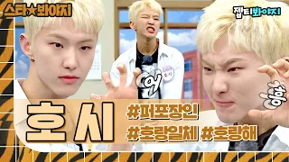 SEVENTEEN Hoshi's variety show collection showing tiger power.