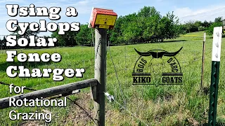 Rotational Grazing | Electric Fencing for Goats | Cylops & Lock Jawz