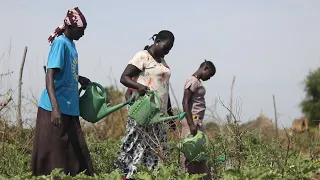 Food Security and Livelihoods: World Vision helps strengthen resilience in South Sudan