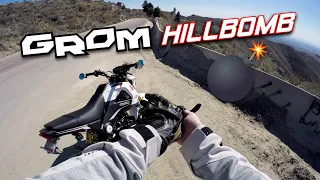 Honda GROM Mountain Hill Bomb | 125cc RAW Sound