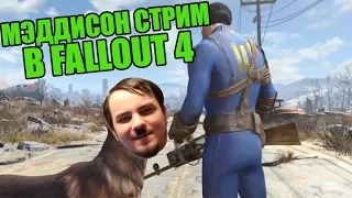 Мэддисон стрим в Fallout 4 (ч.1)