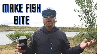 How to MAKE FISH BITE - fly fishing