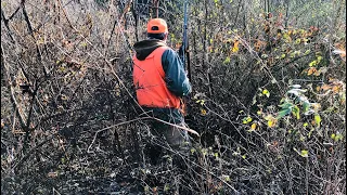 PA '21 Bear Season // First Day Success!