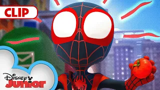 Oh No, Tomatoes! | Marvel's Spidey and his Amazing Friends | @disneyjunior