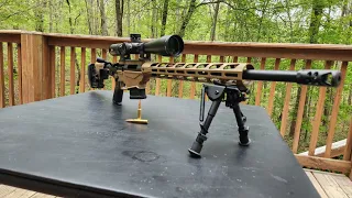 Ruger Precision .308 and a Vortex PST 5-25 scope.