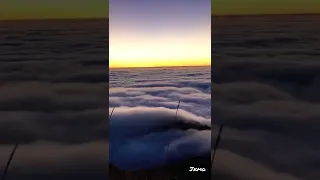 Sea Of Clouds (Mt. Pulag Philippines)