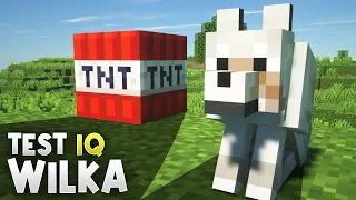 TEST IQ WILKA w MINECRAFT