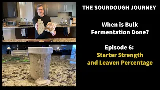 When is Bulk Fermentation Done? - Episode 6 - "Starter Strength and Leaven Percentage"