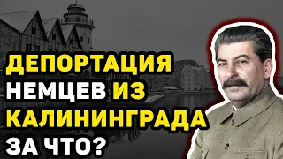 ТРАГЕДИЯ КАЛИНИНГРАДА: ПОЧЕМУ СТАЛИН ИЗГНАЛ НЕМЦЕВ В 1948 ГОДУ ИЗ КАЛИНИНГРАДА