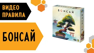 🌳 Бонсай — настольная игра  #видеоправила ✂️