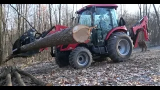 #132 Clearing Trees, Digging Stumps on A Frosty Saturday Morning!