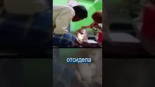 Обезьяна отсидела в очереди к врачу и пришла на прием