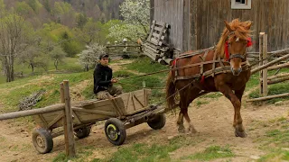 Far From Civilization: Happy Hard Life of a Family in a Remote Mountain Village