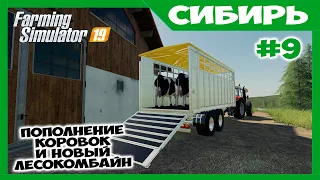 Расширяем коровник и вырубка леса на новом комбайне // Сибирь ч.9 // Farming simulator 19