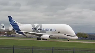 Beluga XL crosswind landing