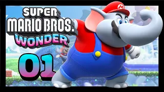 Salviamo il Regno dei Fiori | Super Mario Bros. Wonder  episodio 1 ITA