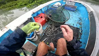 Best spot catch crab, mangrove creek ,Queensland Australia.