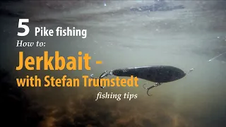 How to • Pike fishing • Jerkbait - with Stefan Trumstedt • fishing tips