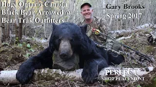 ARCHERY BEAR HUNT Ontario Canada with Bear Trak Outfitters A-1 Archery POV RAGE