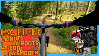 LAC BLANC Bike Park // La Nuts, La Roots, La Cool und La Smooth // Santa Cruz 5010 v5