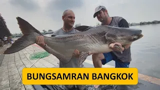 Fishing in Thailand. Bangkok. Giant Mekong Catfish, Carp Fishing and Tilapia.