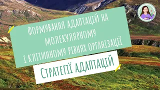 Формування адаптацій. Стратегії адаптації організмів