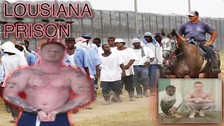 LOUISIANA PRISON |   FIGHT NIGHT AND YOU GOTTA FIGHT