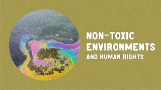 The right to a healthy environment includes non-toxic environments