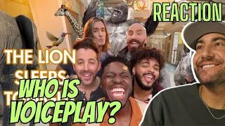 WHO IS VOICEPLAY? | The Lion Sleeps Tonight - VoicePlay ft J.None (acapella) - FIREST EVER REACTION!