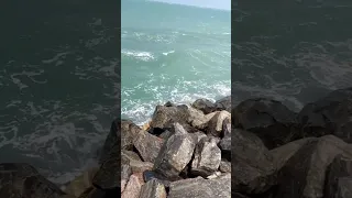 dhanushkodi sea 🌊#dhanushkodi #rameswaram #naturelovers #nature #viralvideo #video #shortvideo