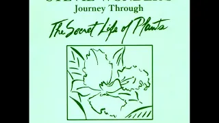 Stevie Wonder's Journey Through The Secret Life Of Plants -  remastered from vinyl LP by L Perez