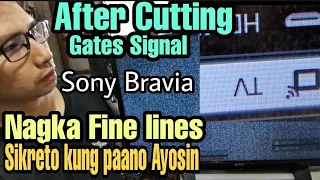 How to Fix Fine Lines in the Screen after Cutting Gates signal in Sony Bravia Led Tv?