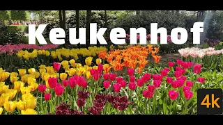 🌷Keukenhof🌷 4k - Walk through with relaxing music | World's Largest Flower Garden | Netherlands 2024