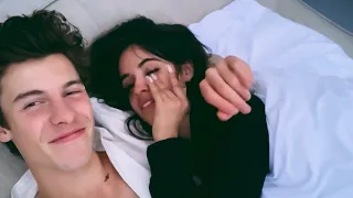 Shawn Mendes & Camila Cabello Tiktok videos using songs from Wonder 12.05.2020