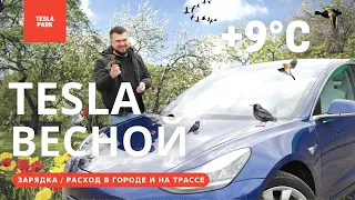 TESLA ВЕСНОЙ!! / Проверяем скорость зарядки / Расход на трассе, в городе и на автопилоте