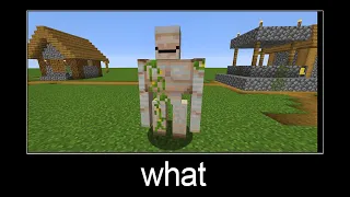 Minecraft wait what meme part 18