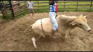 Douglas Henrique + treino montaria em touros 🐂