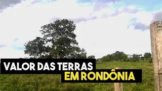 Fique Por Dentro do Valor das Terras em Rondônia!