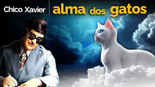 REVELADO: Chico Xavier desvenda os segredos da ALMA felina!