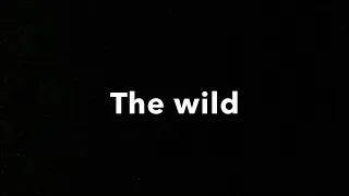 “The wild” (Rodney Copperbottom style) cast video