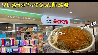 #6 なんだこの料理クソうまいやん【新潟】【日本一周】