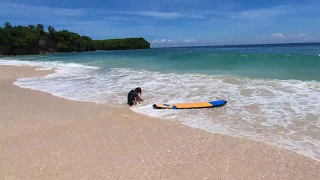 Бали. Как не надо выходить из воды с серфингом