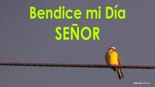 Bendice mi día Señor - Oración de la Mañana