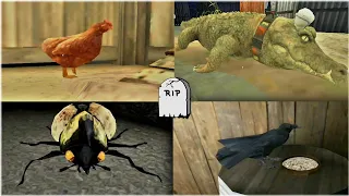 Creepy pets #12 | Granny's Crow vs Rod's Crocodile vs bob & buck's Beetle vs Evil nun's Chicken