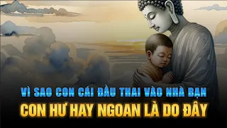 Vì sao con cái ĐẦU THAI VÀO NHÀ BẠN - Con HƯ hay NGOAN nguyên nhân là do đây