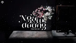 [Vietsub] Ngã Tư Đường (十字路口) - Triệu Nãi Cát (赵乃吉)