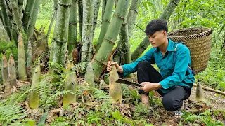 Forest life, Harvest corn, Bamboo shoots, Go to the market to sell