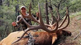 New Mexico Archery Elk Hunting - 2019 Bow Hunt