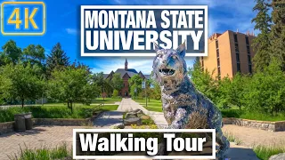 4K City Walks - Bozeman Montana - Montana State University - Virtual Walking Trails for Treadmill