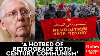 'Wannabe Revolutionaries': Mitch McConnell Excoriates 'Marxist' Pro-Palestinian Protestors